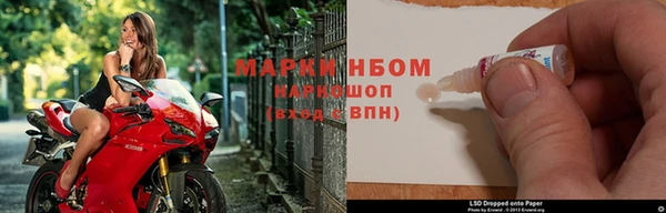 гашик Дмитриев