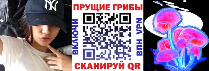 kraken рабочий сайт  где купить   Щигры  Псилоцибиновые грибы ЛСД 